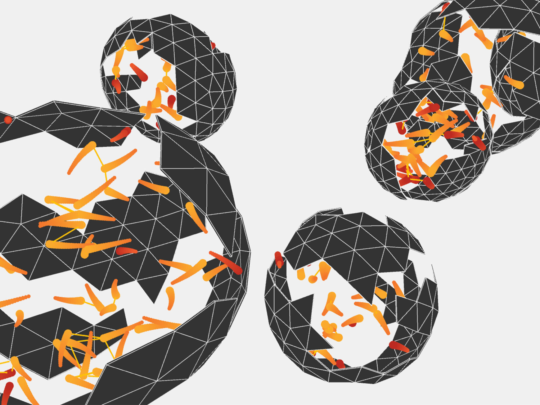Eco Spheres – A Tool for generative visuals